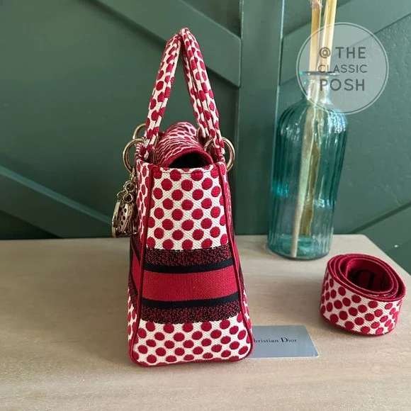 EUC  Rare Christian Dior Lady D Lite Dioramour 2020 Lady Bug Dots Satchel Bag - Picture 4 of 16